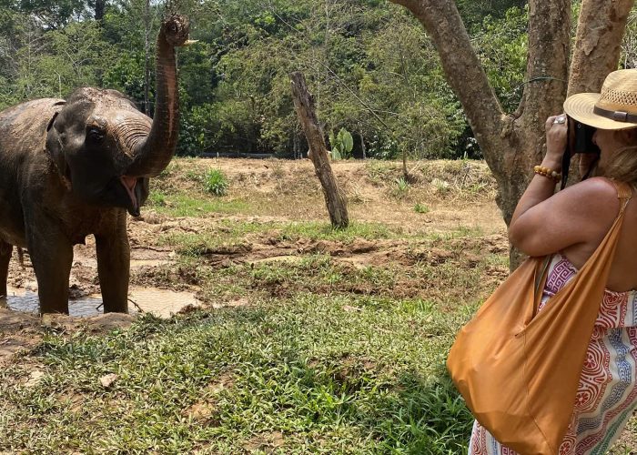 A woman in a hat takes a photo of an elephant raising its trunk while standing near a muddy patch in a natural outdoor setting.